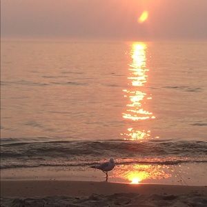 Meet your Posher, Alison